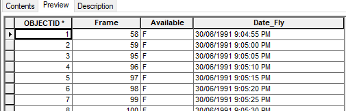 screenshot of a feature class table